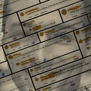 Plus d’un quart des députés RN sur des groupes Facebook racistes