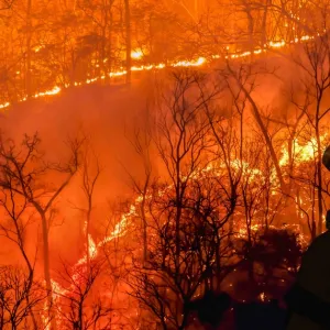 « Tôt ou tard, certaines catastrophes arriveront, malgré tout »