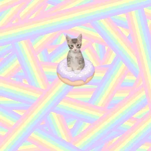 Doughnut Kitten by Tania Hennessy
