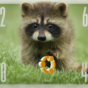 Ubuntu Reveal Codename of Next Year’s 26.04 LTS