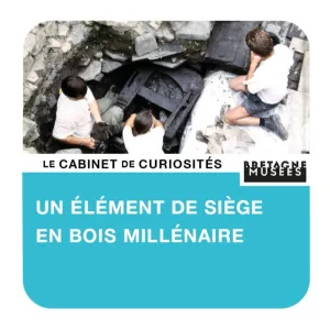 Un élément de siège en bois millénaire découvert à Landévennec