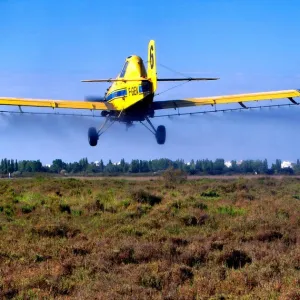 « Trop de zones humides, réservoirs de biodiversité, sont démoustiquées au BTI »