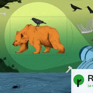 Photographie animalière : la triche planquée derrière le cliché parfait