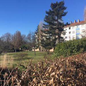 La ville de Strasbourg autorise la construction d'un ensemble immobilier dans l'un de ses poumons verts