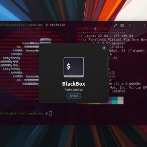 Black Box (the ‘Beautiful Terminal App’) Adds Transparency, Sixel Support
