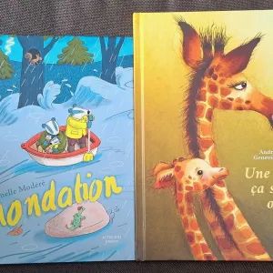 Littérature jeunesse : deux histoires d’inondation