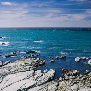 L'acidification des océans dépasse un seuil critique, la septième "limite planétaire" sur neuf est désormais franchie