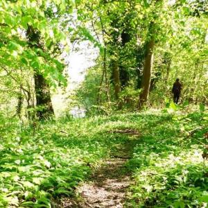 Se prendre pour Mike Horn à Strasbourg avec la journée survie - Coze - Agenda Culturel Alsacien