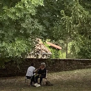 Ecouter Donna Haraway parler de cyborg sous un arbre