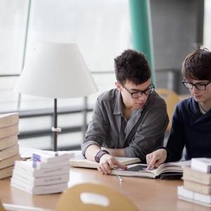 Sociologie de l’emploi étudiant face à la montée en puissance des plateformes numériques