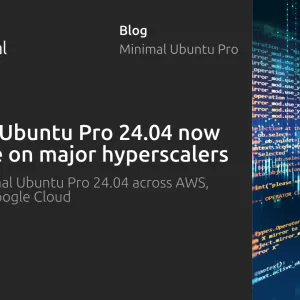 Minimal Ubuntu Pro: lean images backed by enterprise-grade security