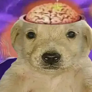 « Brainrot » : les vidéos courtes abîment-elles notre cerveau ?