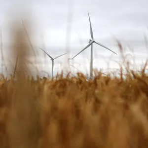 Wind powers a record summer for renewable energy in Britain