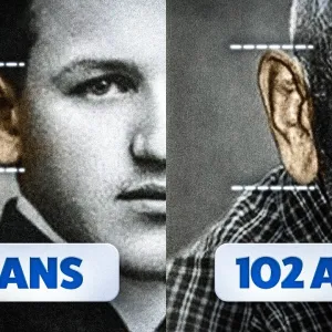 Pourquoi les oreilles s'allongent avec l'âge ?