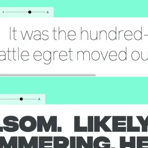 Fonts / Matthew Hinders-Anderson