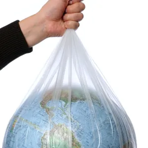 Quel sort pour l'écologie en cas de victoire du RN aux législatives ?