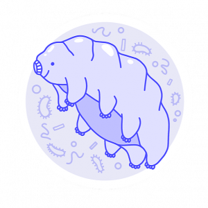 Tardibabe - Microbiology student based in Tiohtià:ke, Montreal