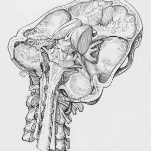 Training and valuing the brain through neurotechnology