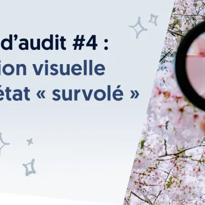Brèves d’audit #4 : indication visuelle pour l’état « survolé »