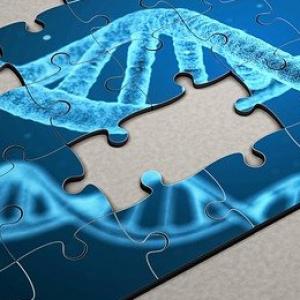Comment la bioinformatique a résolu le puzzle du génome du SARS-CoV-2