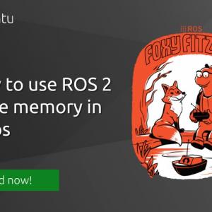 How to use ROS 2 shared memory in snaps