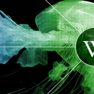 Le programme de Wikimédia France pour une « ère du Web des Communs »