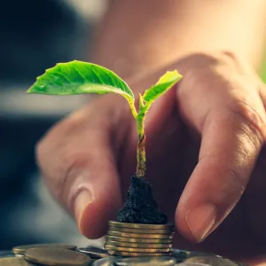 Entrepreneuriat, écologie et RH : prendre en main les grands enjeux de l’entreprise de demain