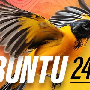 Ubuntu 24.10 Release Date Set for October 10, 2024