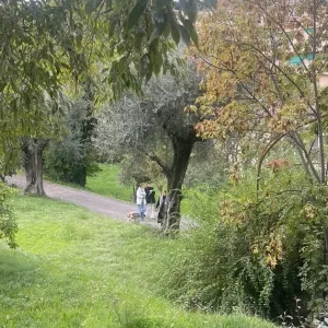 Apprendre la géographie par les sens