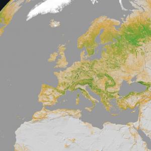 Harcèlement en ligne : les climatologues particulièrement ciblés