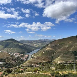 2024, le cap de la vingtaine pour LunaWeb
