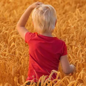 « Dans les réserves, la culture humaine est préservée, mais elle ne peut plus faire de dégâts »