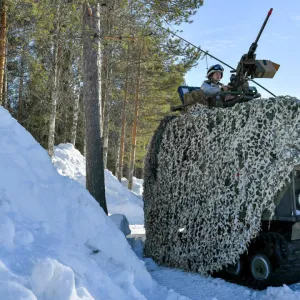 Otan: la Suède se dit prête à diriger une présence militaire en Finlande