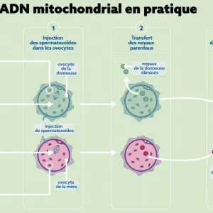SVT : le nouveau magazine de l’lNSERM est en ligne