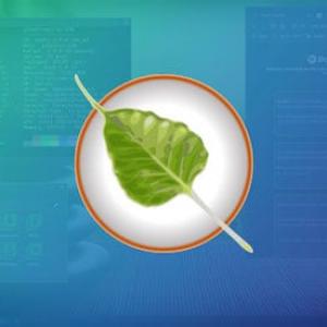 Bodhi Linux 7.0 Beta is Now Available for Testing