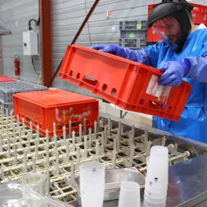 À Strasbourg, Uzaje industrialise le nettoyage de contenants pour stimuler le réemploi