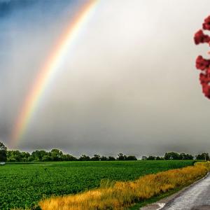 Prospective Post Pandémie