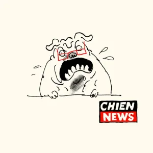 Chien News et les lance-roquets