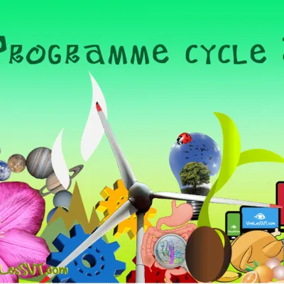 Sciences et technologie au cycle 3 : quoi de neuf en CM1, CM2 et 6e ?