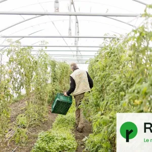 La transmission des fermes, un défi majeur pour l'agriculture