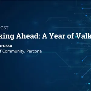 Valkey : un an après, que devient le projet d'alternative à Redis ?