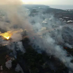 Les puits de carbone terrestres se sont effondrés en 2023