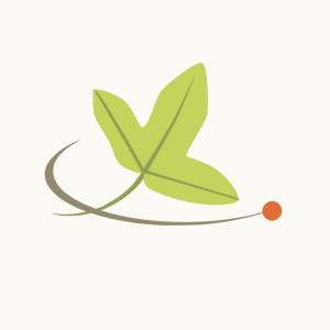 Smart'Flore boite à outils