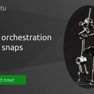 ROS orchestration with snaps