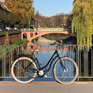 Strasbourg n’est plus la 1ère ville cyclable de France !