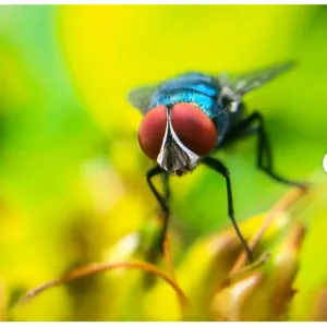 SHARP : l’IA open source d’Apple qui transforme vos photos 2D en scènes 3D spatiales en un éclair