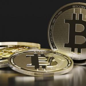 Cybèle Lespérance, "la première pute de Montréal à accepter le Bitcoin"