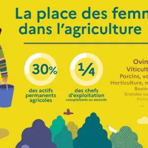 Infographie - La place des femmes dans l'agriculture | Ministère de l'Agriculture et de la Souveraineté Alimentaire