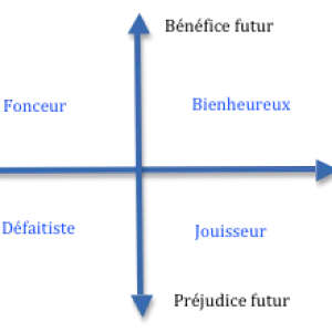 Le journal de gratitude - Loi d'attraction - Paul Devaux