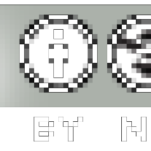 Functional groups of pollinators - DIVULGARE